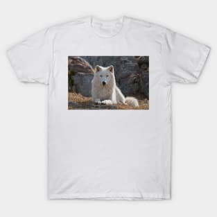 Arctic Wolf T-Shirt